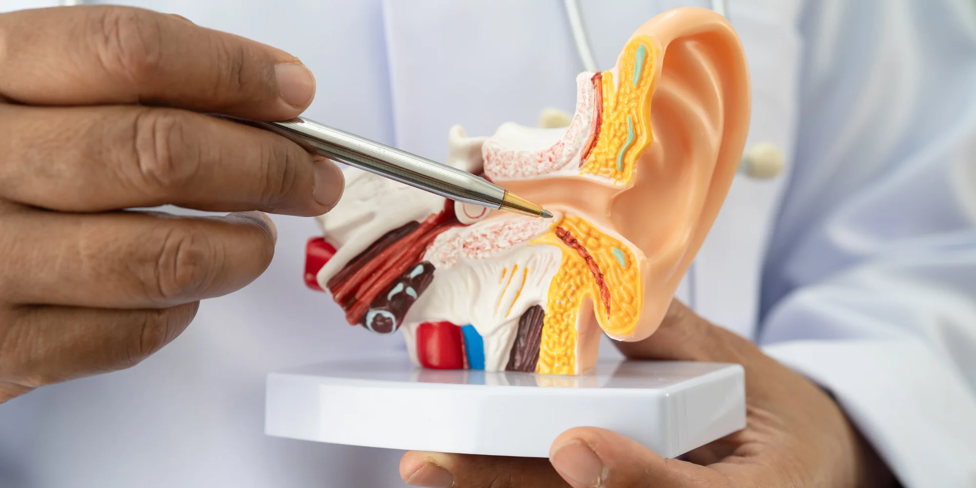 Tinnitus Treatment